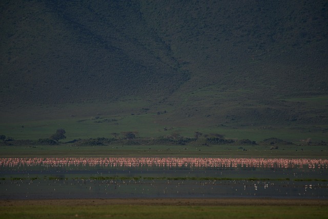 3 Day Ngorongoro Wildlife Safari
